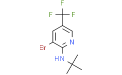 3-溴-2-(Nt-丁基氨基)-5-三氟甲基吡啶
