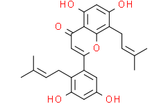 Isoangustone A