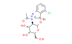 5-溴-4氯-3-吲哚N-乙酰-β-D-氨基半乳糖苷/5-溴-4-氯-3-吲哚基-N-乙酰-β-D-氨基半乳糖苷/X-GalNAc