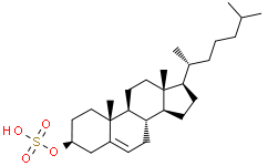 胆甾醇硫酸盐