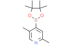 2,5-二甲基-4-(4,4,5,5-四甲基-1,3,2-二氧硼杂环戊烷-2-基)吡啶
