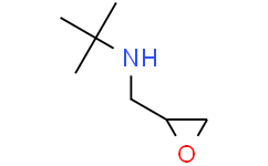 2-甲基-N-(环氧乙烷-2-基甲基)丙-2-胺
