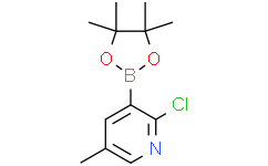 2-氯-5-甲基-3-(4,4,5,5-四甲基-1,3,2-二氧硼杂环戊烷-2-基)吡啶