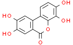 尿石素D