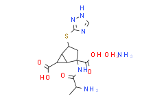 mGlu2 agonist