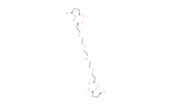 双(2,5-二氧代吡咯烷-1-基) 4,7,10,13-四氧杂十六烷-1,16-二酸酯