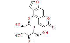 佛手酚葡萄糖苷