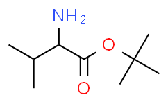 (S)-2-氨基-3-甲基丁酸叔丁酯