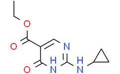 2-(环丙基氨基)-6-氧代-1，6-二氢嘧啶-5-羧酸乙酯