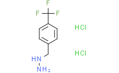 {[4-(三氟甲基)苯基]甲基}肼二盐酸盐