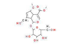 6-O-甲基去乙酰车叶草苷酸甲酯