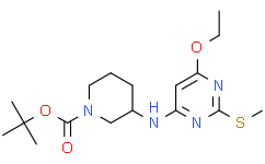 3-((6-乙氧基-2-(甲硫基)嘧啶-4-基)氨基)哌啶-1-甲酸叔丁酯