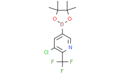 3-氯-5-(4,4,5,5-四甲基-1,3,2-二氧硼杂环戊烷-2-基)-2-(三氟甲基)吡啶