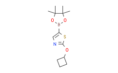 2-环丁氧基-5-(4,4,5,5-四甲基-1,3,2-二氧硼杂环戊烷-2-基)噻唑