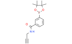 N-(丙-2-炔-1-基)-3-(4,4,5,5-四甲基-1,3,2-二氧硼杂环戊烷-2-基)苯甲酰胺