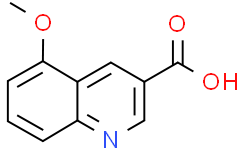 5-甲氧基喹啉-3-羧酸