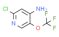 2-氯-5-(三氟甲氧基)吡啶-4-胺