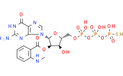 Mant-GTPgammaS（水溶液）