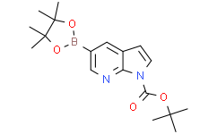 5-(4,4,5,5-四甲基-1,3,2-二氧硼杂环戊烷-2-基)-1H-吡咯并[2,3-b]吡啶-1-羧酸叔丁酯