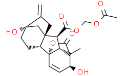 GA3-AM