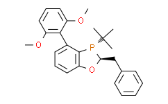 (2S,3S)-2-苄基-3-(叔丁基)-4-(2,6-二甲氧基苯基)-2,3-二氢苯并[d][1,3]氧磷杂环戊二烯