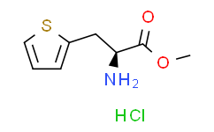 (S)-2-氨基-3-(噻吩-2-基)丙酸甲酯盐酸盐