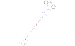DBCO-NHCO-PEG5-NHS ester