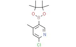 2-氯-4-甲基-5-(4,4,5,5-四甲基-1,3,2-二氧硼杂环戊烷-2-基)吡啶