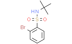 2-溴-N-(叔-丁基)苯磺酰胺, 97%