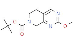 2-甲氧基-5,8-二氢吡啶并[3,4-d]嘧啶-7(6H)-羧酸叔丁酯