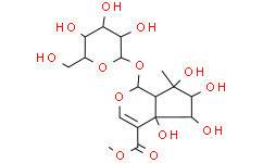 Phloyoside I