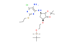 N4-((3aS,4R,6S,6aR)-6-(2-((tert-butyldimethylsilyl)oxy)ethoxy)-2,2-dimethyltetrahydro-3aH-cyclopenta