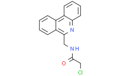2-氯-N-(菲啶-6-基甲基)乙酰胺