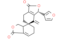 ?杜根素C