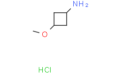 3-甲氧基环丁胺盐酸盐