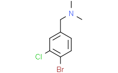 1-(4-溴-3-氯苯基)-N,N-二甲基甲胺