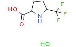 rel-(2S,5R)-5-(三氟甲基)吡咯烷-2-羧酸盐酸盐