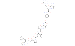 Vat-Cit-PAB-Monomethyl Dolastatin 10
