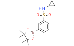 N-环丙基-3-(4,4,5,5-四甲基-1,3,2-二氧硼杂环戊烷-2-基)苯磺酰胺