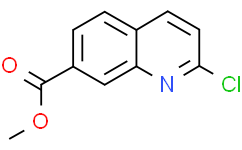 2-氯喹啉-7-羧酸甲酯