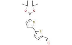5'-(4,4,5,5-四甲基-1,3,2-二氧硼杂环戊烷-2-基)-[2,2'-联噻吩]-5-甲醛