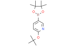 2-(叔丁氧基)-5-(4,4,5,5-四甲基-1,3,2-二氧硼杂环戊烷-2-基)吡啶