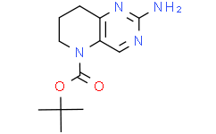2-氨基-7,8-二氢吡啶并[3,2-d]嘧啶-5(6H)-羧酸叔丁酯