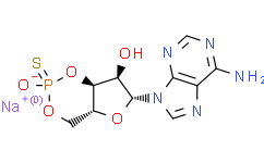 Rp-cAMPS sodium salt