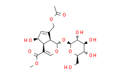 車(chē)葉草苷酸甲酯,交讓木苷
