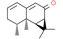 甘松香酮H