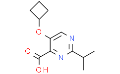 5-环丁氧基-2-异丙基嘧啶-4-羧酸