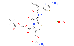 鹽酸頭孢卡品酯