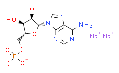 核苷酸5’-一磷酸腺苷钠盐