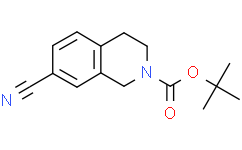 7-氰基-3,4-二氢异喹啉-2(1H)-羧酸叔丁酯